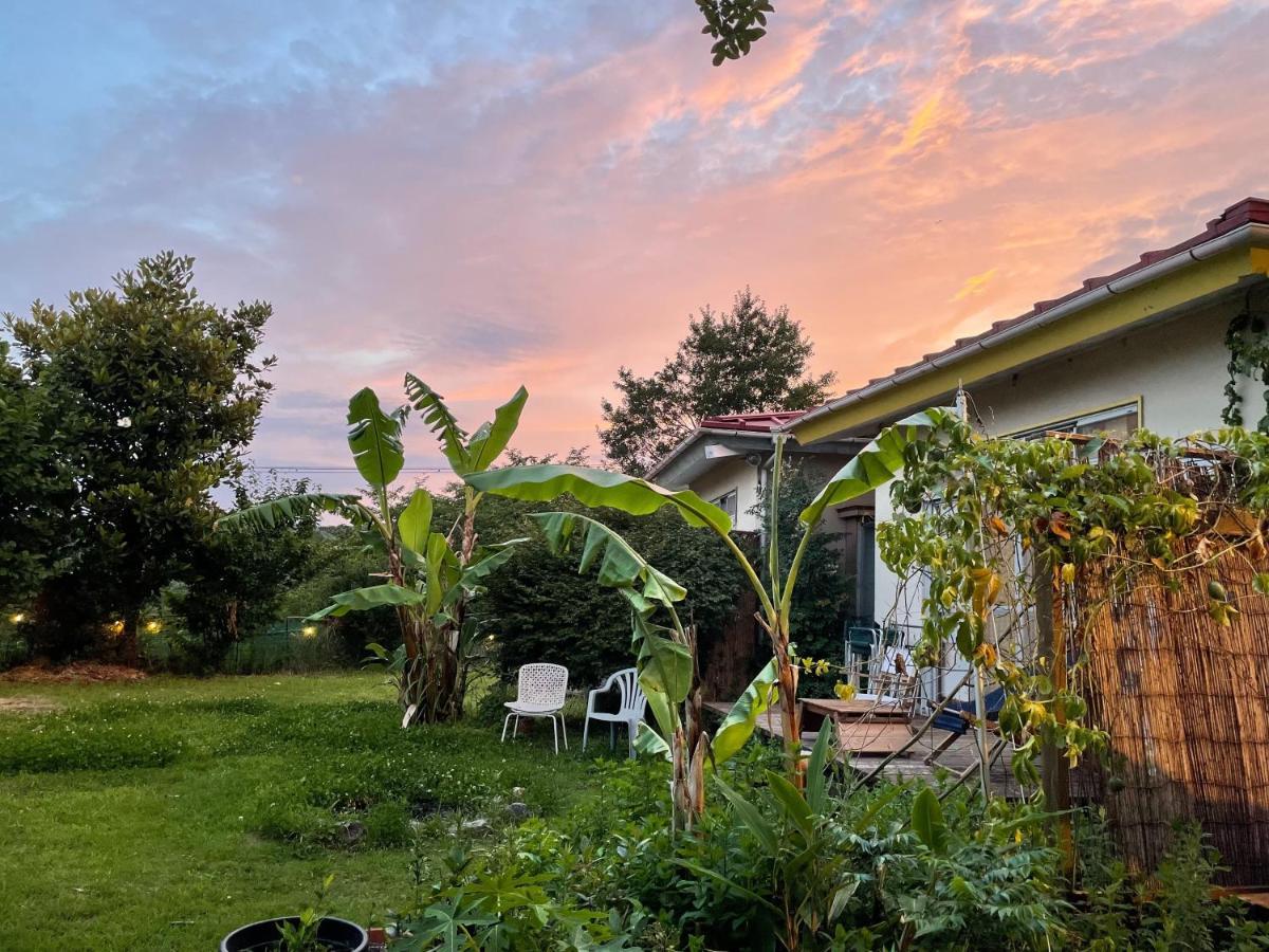 Guesthouse Papaya Симода Экстерьер фото