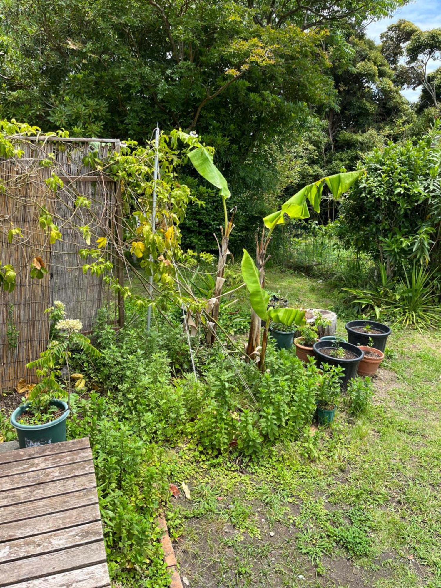 Guesthouse Papaya Симода Экстерьер фото